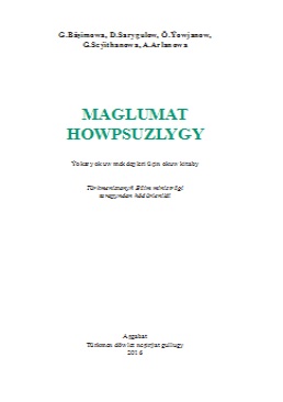 Maglumat howpsuzlygy